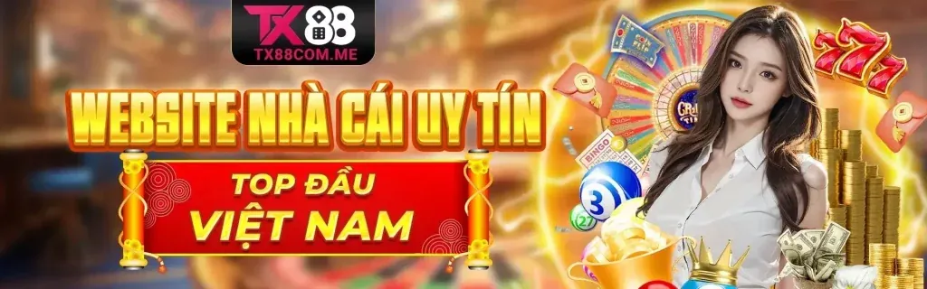 Hình ảnh minh họa điều khoản dịch vụ của ST8
